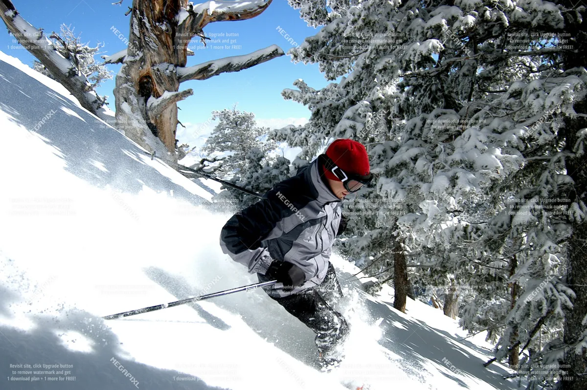 This image captures a skier gliding down a snow-covered slope flanked by tall pine trees and set against a bright blue sky. The energy and excitement of the scene convey the thrill of winter sports and the beauty of the mountain landscape.