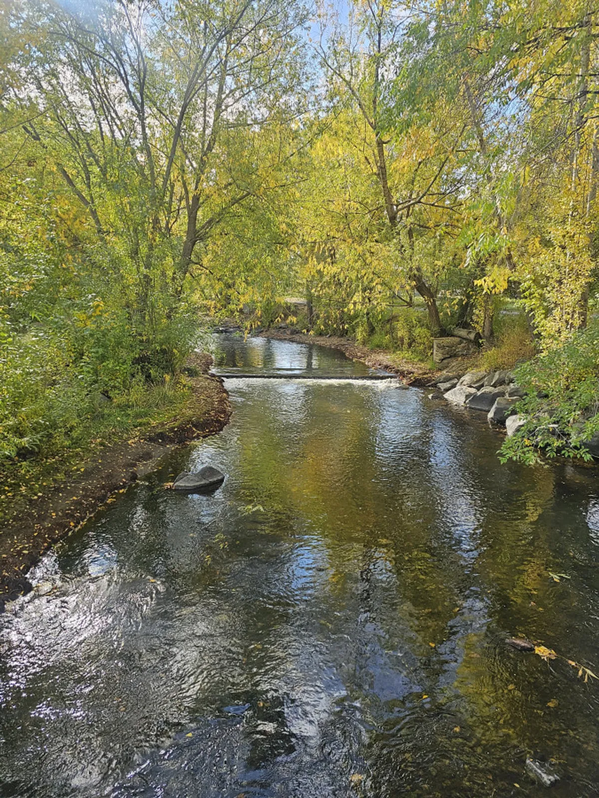A tranquil river flows gently through a lush, tree-lined landscape, with dappled sunlight and reflections dancing on the water's surface. The setting invites quiet exploration and moments of peaceful connection with nature.